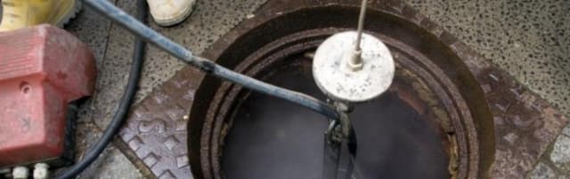 Bonomini Spurgo - Immagine 2