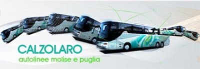 Calzolaro Autolinee Day After Tour - Immagine 2