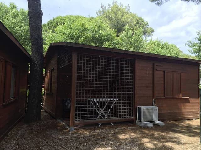 Camping Feniglia - Immagine 2