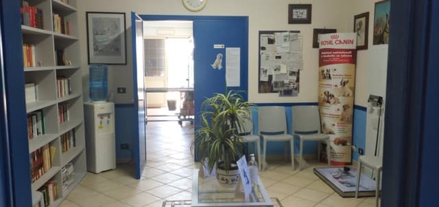 Canile Sanitario Vaglica - Immagine 1