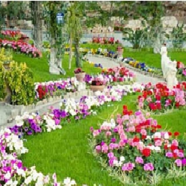 Capri Flor - Immagine 1