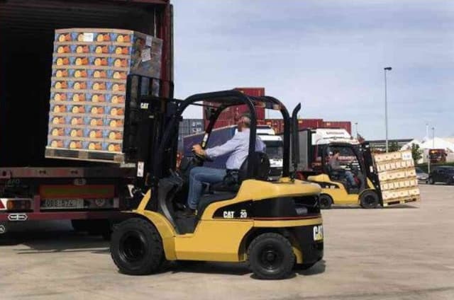 Carrelli Elevatori Caterpillar - Immagine 1