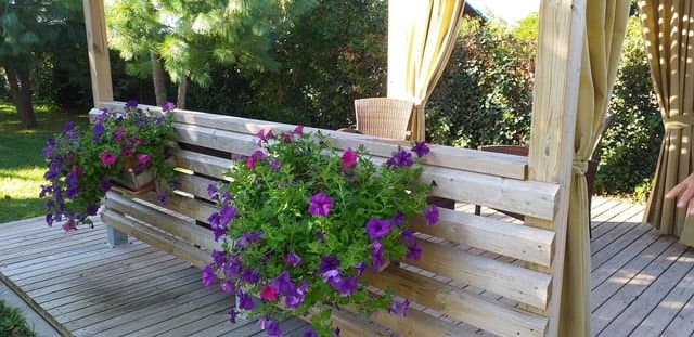 Casa Biglino - Affitto Camere - Immagine 2