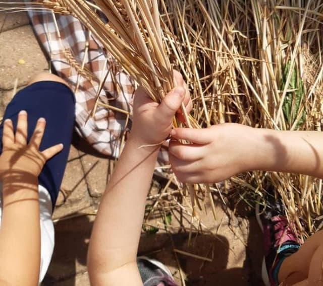 Casa dei Bambini - Scuola Montessori Onlus - Immagine 2