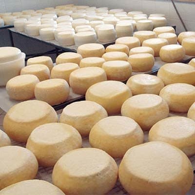 Caseificio Artigianale Pacioni - Immagine 1