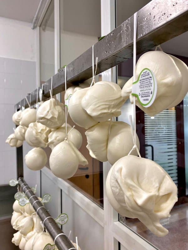 Caseificio Artigianale Santa Maria - Immagine 1