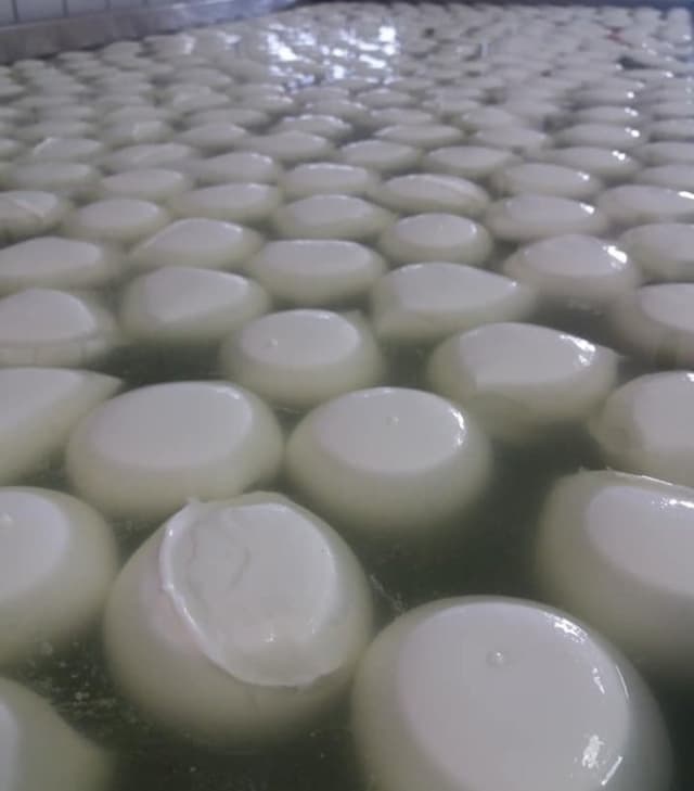 Caseificio La Valle - Mozzarella di Bufala - Immagine 2