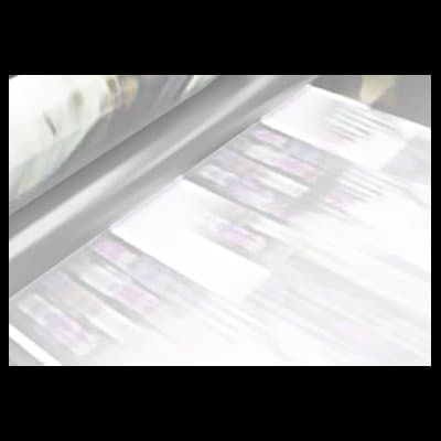 Casma Tipolito - Immagine 1