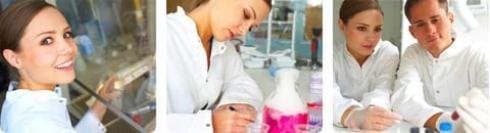 C.A.T.A. - Immagine 1