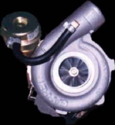 Cavazzoni - Immagine 1