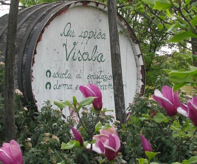 Centro Ippico Visola - Immagine 1