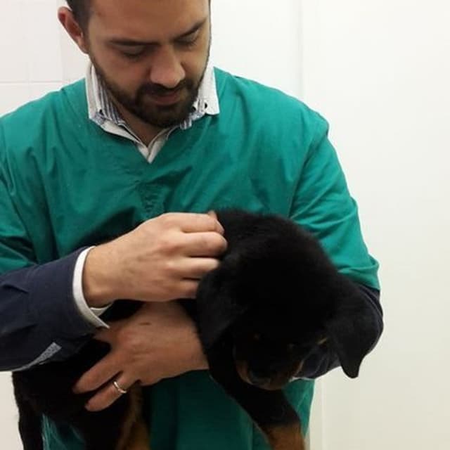 Centro Medico Veterinario Villani Dr. Vincenzo - Immagine 1