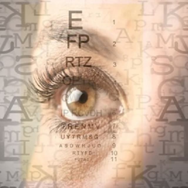 Centro Ottico Bossi - Immagine 1