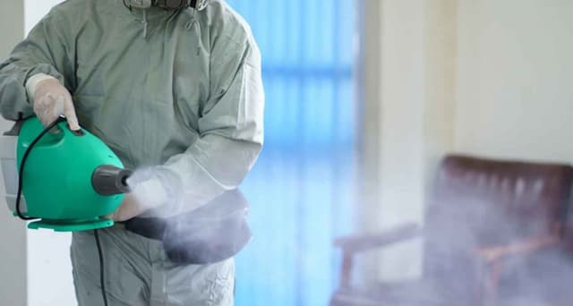 C.I.A. Disinfestazioni e Derattizzazioni - Immagine 2