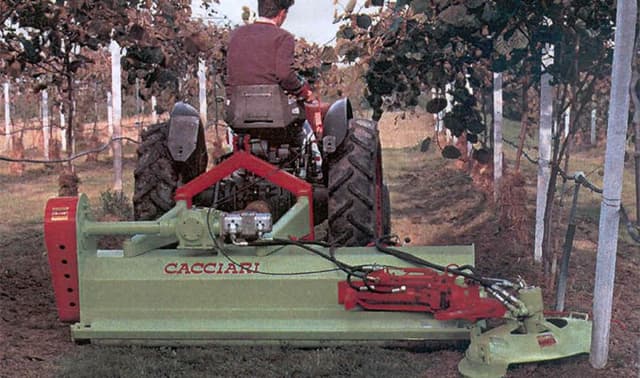 Claudio Cacciari - Immagine 1