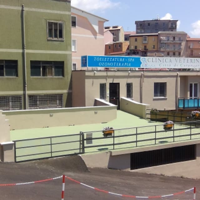 Clinica Veterinaria Città di Catanzaro - Immagine 1