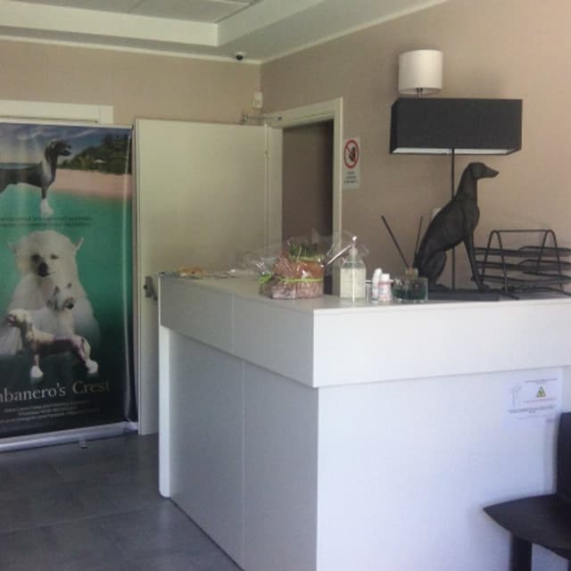 Clinica Veterinaria Città di Catanzaro - Immagine 2