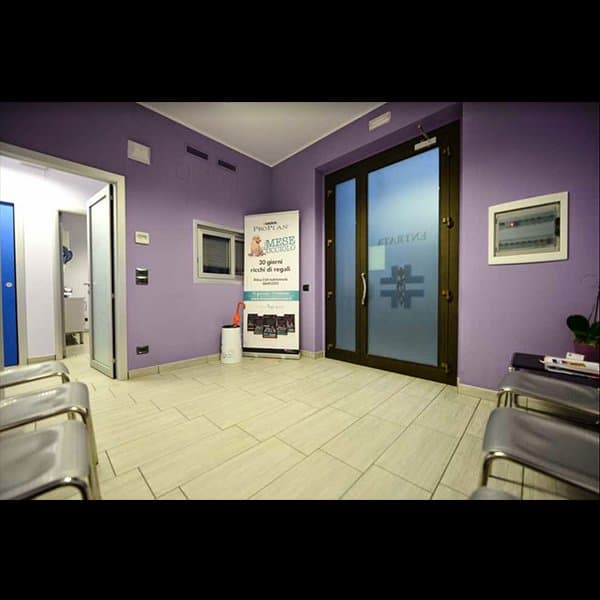 Clinica Veterinaria Dell'Adriatico - Immagine 1