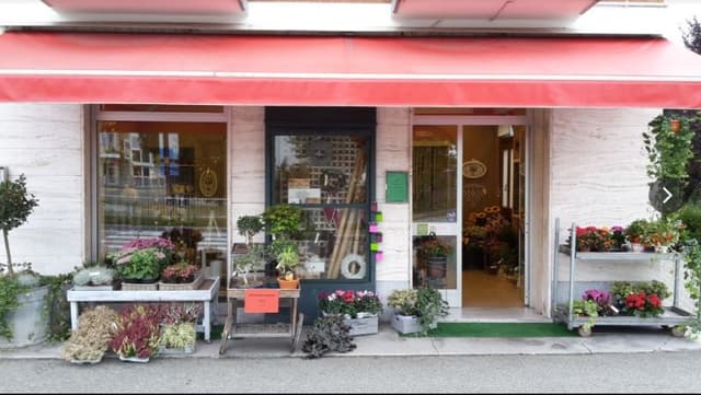 Clorofilla - Danilo Botta - Immagine 1