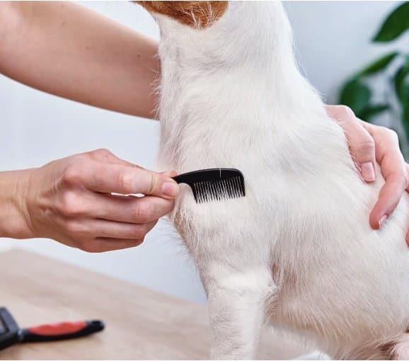 Code in Relax - Immagine 2