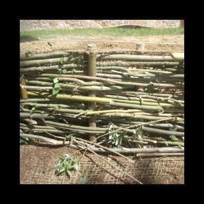 Cooperativa Pozzuolo - Immagine 2