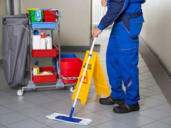 Cooperativa Sociale Servizi Generali Lunigiana - Immagine 2