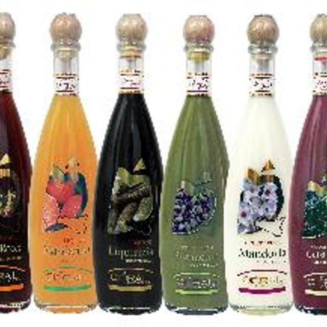 Coral Sorsi di Sicilia - Immagine 1