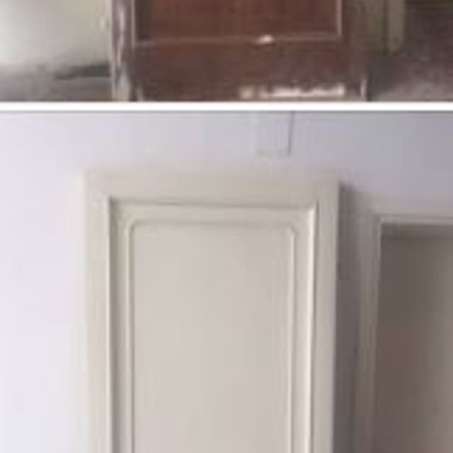 Corti e Landini - Immagine 2