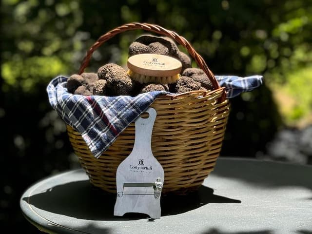 Costy Tartufi S.r.l. - Immagine 1