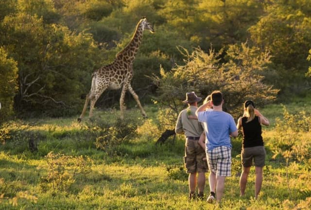 Csm Turismo e Formazione - Immagine 2