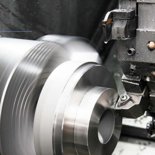 Dipizeta - Immagine 2