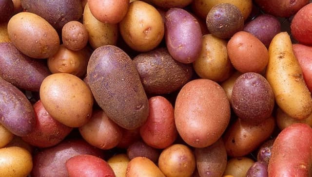 Domenico Citterio & C. - Immagine 1