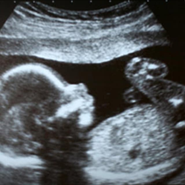 Dr. Salvatore Auditore - Immagine 1