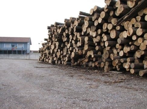 Durlì Claudio - Immagine 1