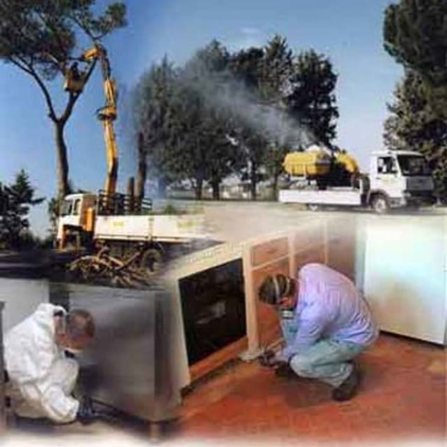 Ecologic System - Immagine 1