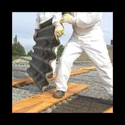 Ecozani - Immagine 2