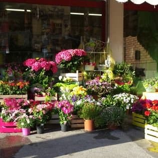 Edicola Cartoleria Articoli da Regalo e Fiori Carlini Daniele - Immagine 2