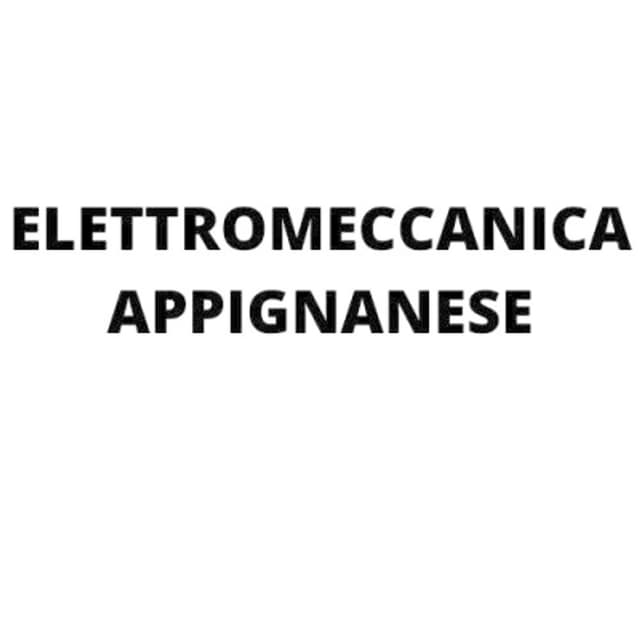 Elettromeccanica Appignanese - Immagine 2