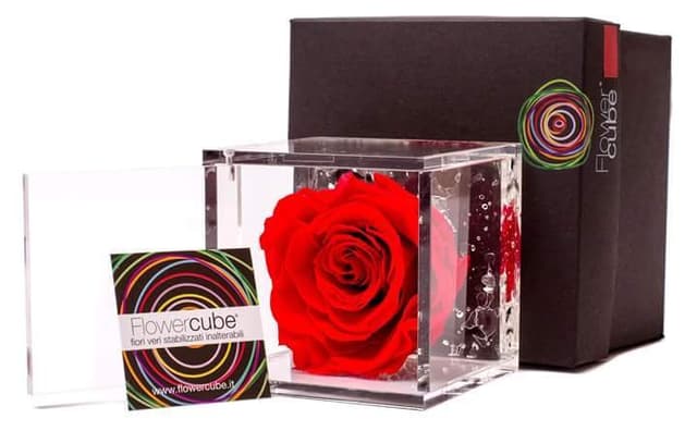 Emozioni Floreali - Immagine 1