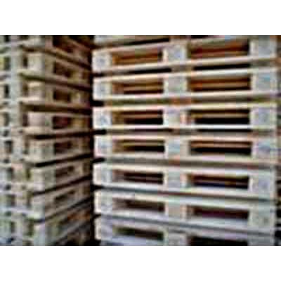 Eredi Poli Mario - Immagine 2