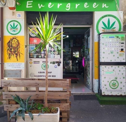 Evergreen Grow Shop - Immagine 1