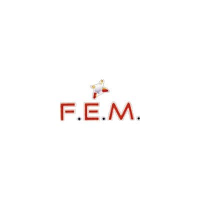 F.E.M. in Liquidazione - Immagine 1