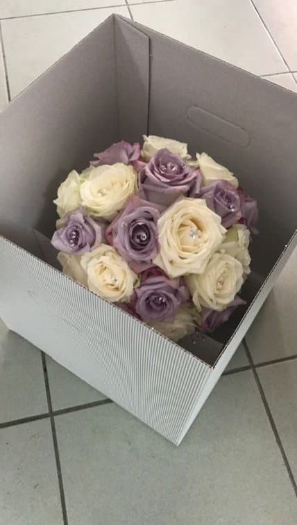 Fiori e Piante La Gardenia - Immagine 2