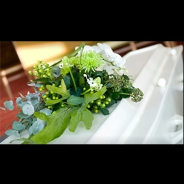 Fiori e Piante - Stefania Magliano - Immagine 2