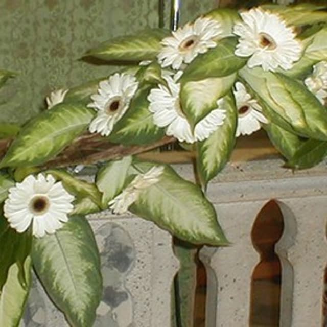 Fioridea S.a.s. di Delmaestro Mirko e C. - Immagine 1