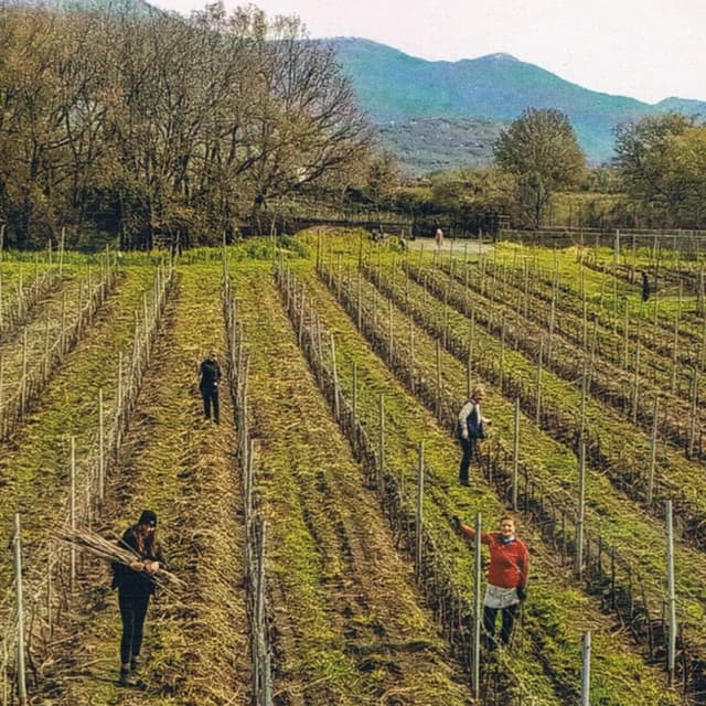 F.lli Raciti - Immagine 2