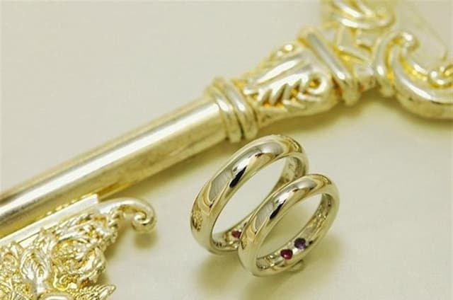 Galvanic System - Immagine 1