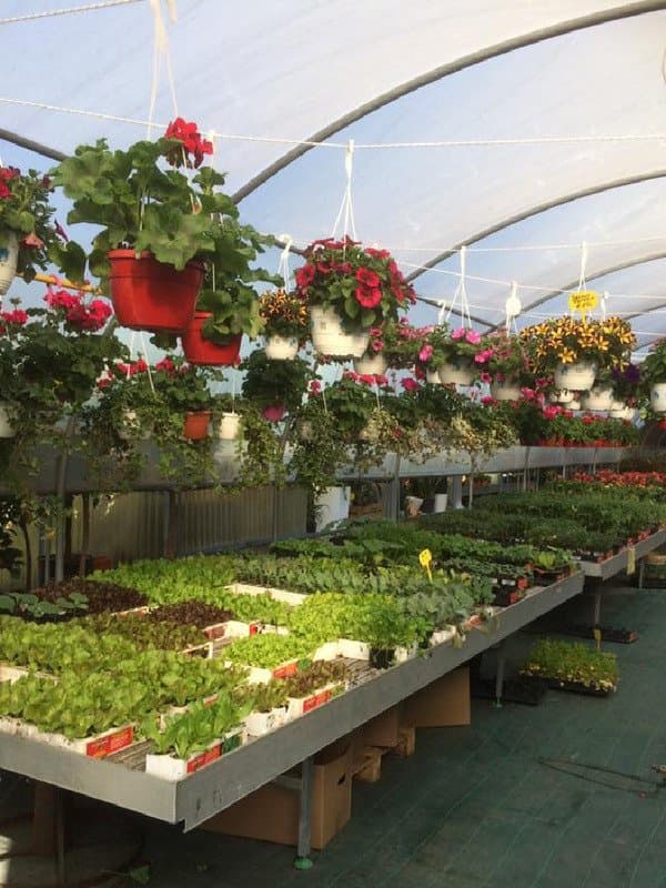 Garden Agraria L'angolo Verde - Immagine 1