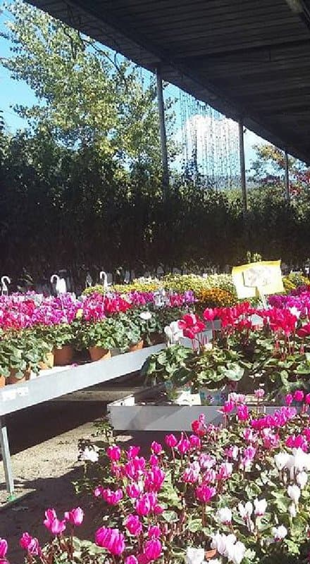 Garden Agraria L'angolo Verde - Immagine 2