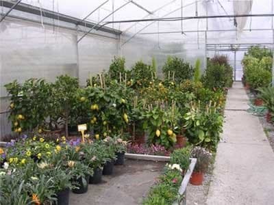 Garden Frediani - Immagine 1